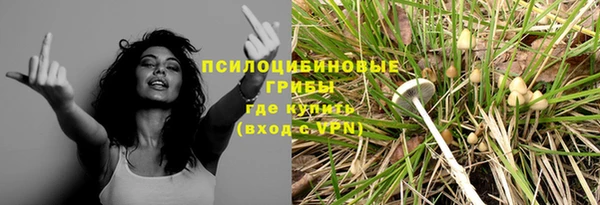 бутират Горно-Алтайск