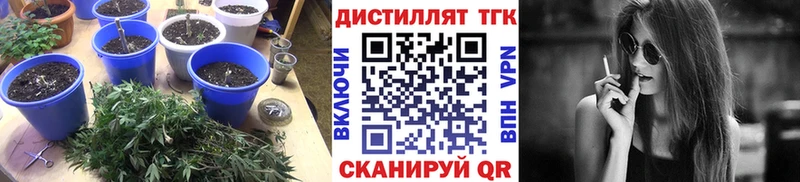 ТГК концентрат  Купить закладки  Городец