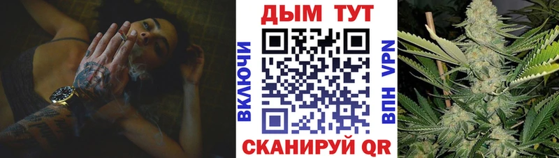 Каннабис индика  Купить где  Городец 